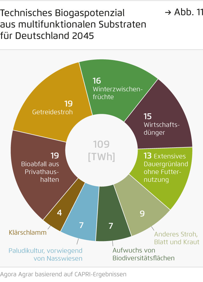 Preview for Technisches Biogaspotenzial  aus multifunktionalen Substraten für Deutschland 2045