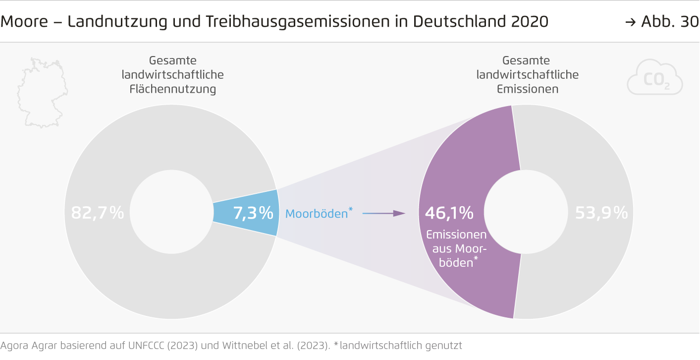 Preview for Moore – Landnutzung und Treibhausgasemissionen in Deutschland 2020