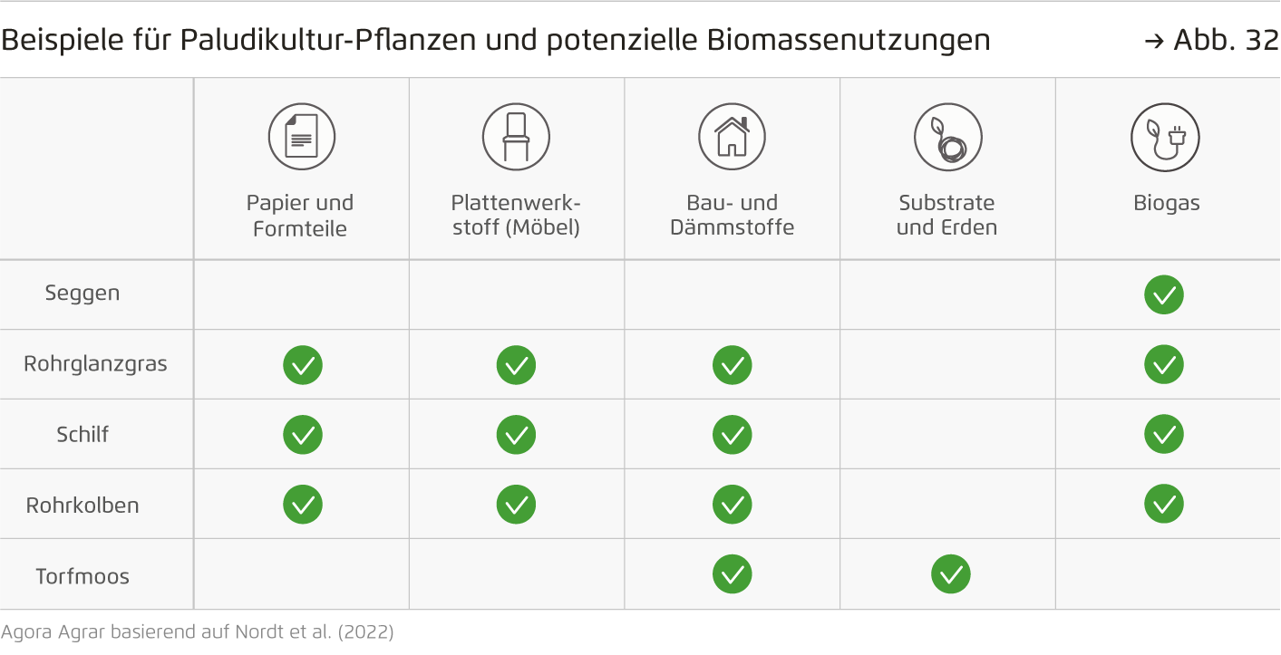 Preview for Beispiele für Paludikultur-Pflanzen und potenzielle Biomassenutzungen