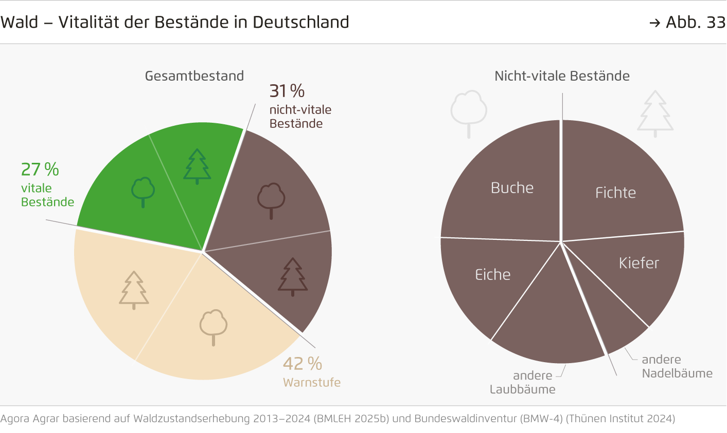 Preview for Wald – Vitalität der Bestände in Deutschland