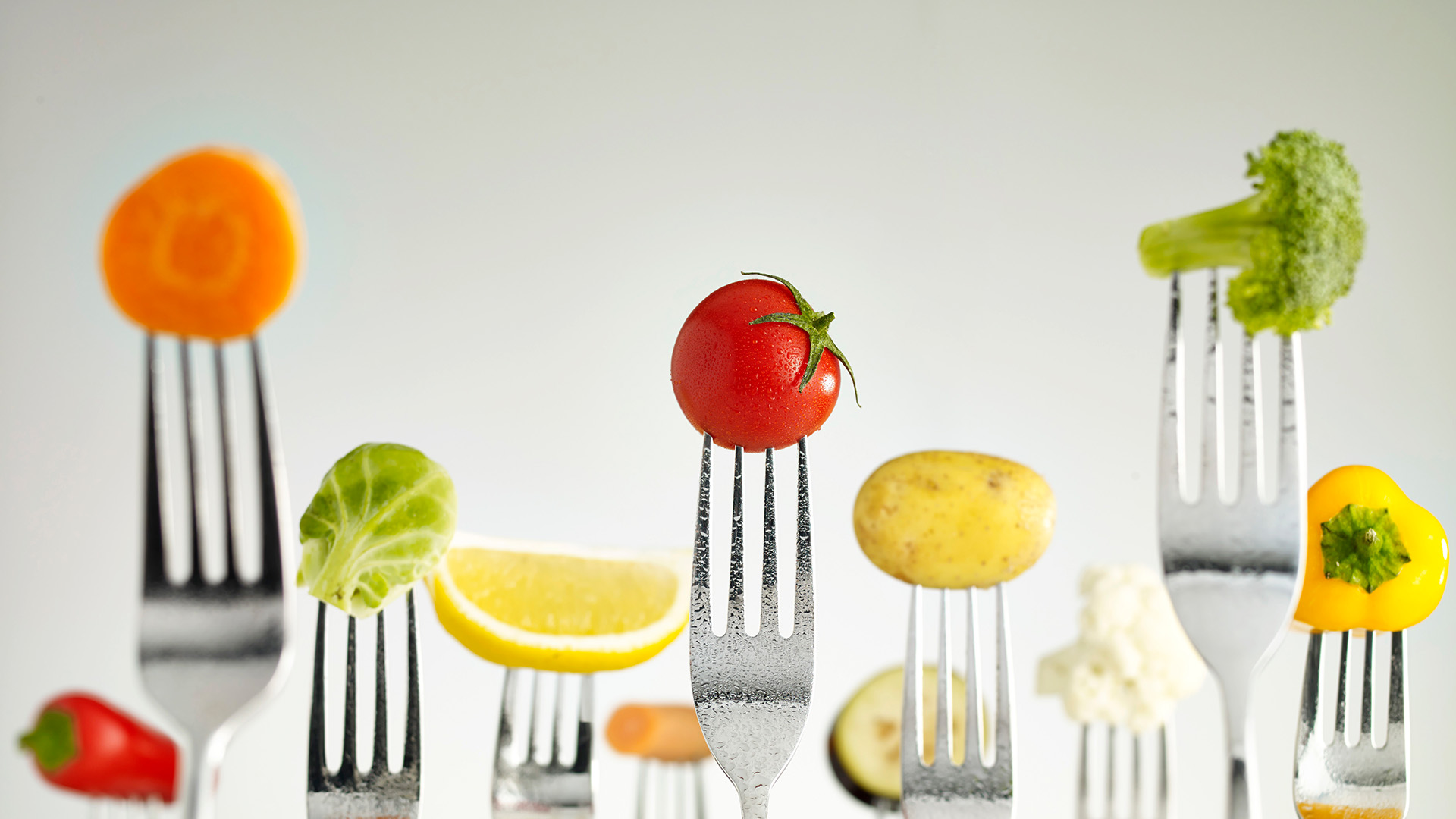 Ernährungspolitik neu ausrichten: Nachhaltige Entscheidungen erleichtern
