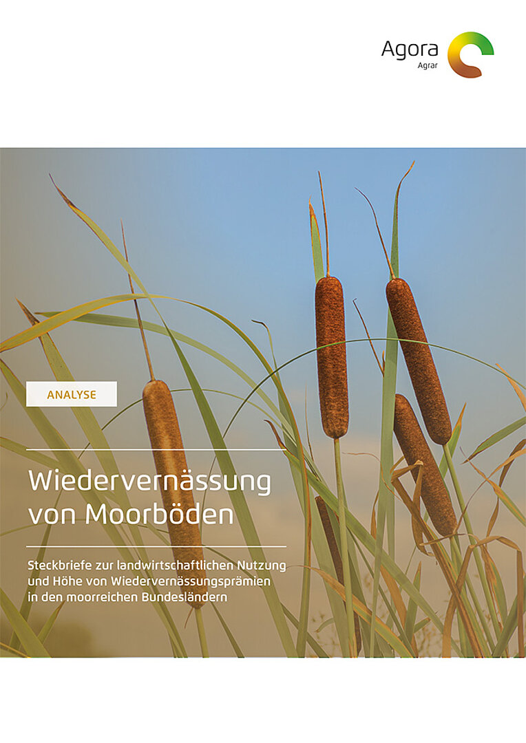 Wiedervernässung von Moorböden in Deutschland