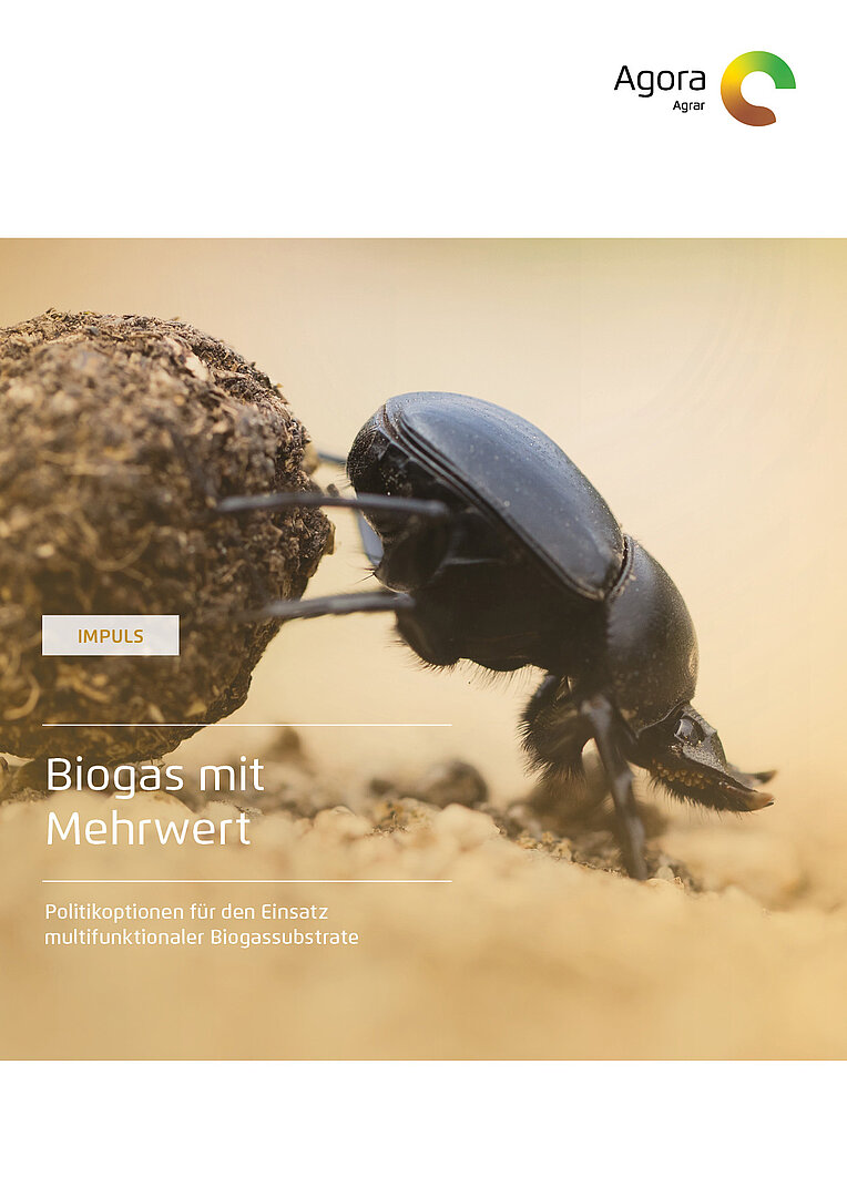 Biogas mit Mehrwert